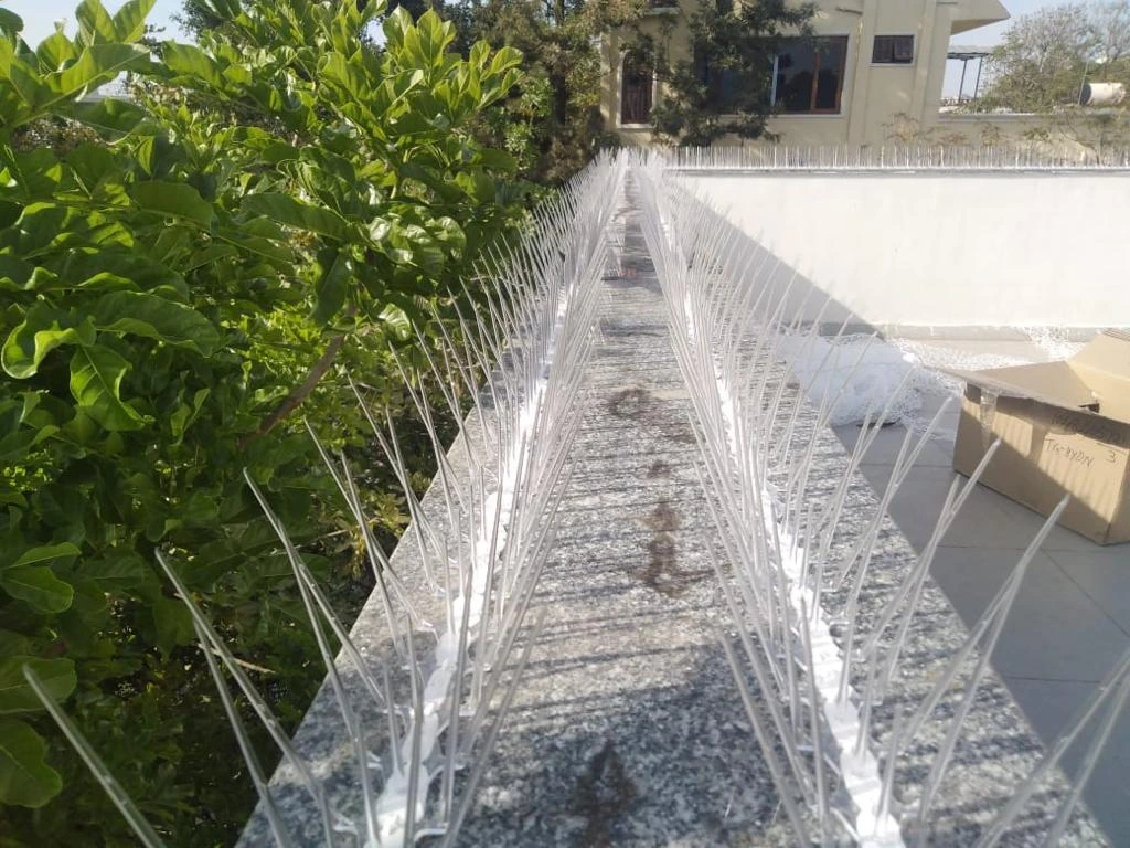 Anti Bird Spikes Installation – Balcony, Terrace & Rooftop Bird Protection