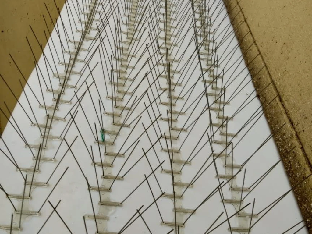 venkys anti bird spikes in AP, Telangana, Chennai and Banglore