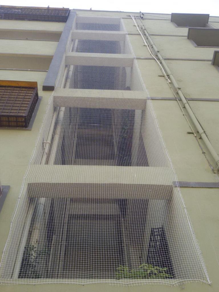 Anti Bird Net Installation 4