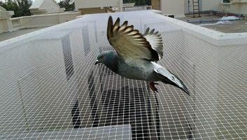 Pigeon Safety Nets in Erragadda Balcony Installation