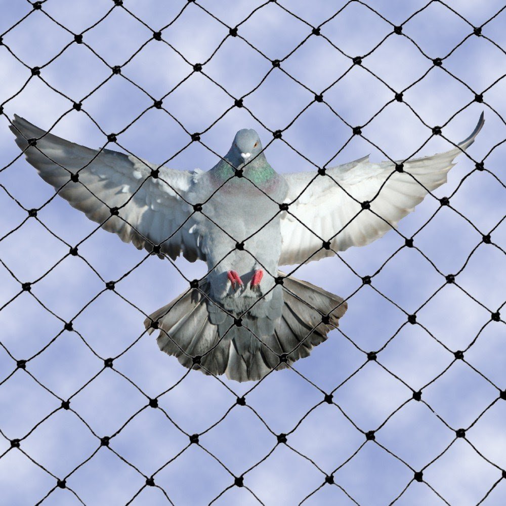 Pigeon Nets BN Reddy installation balcony