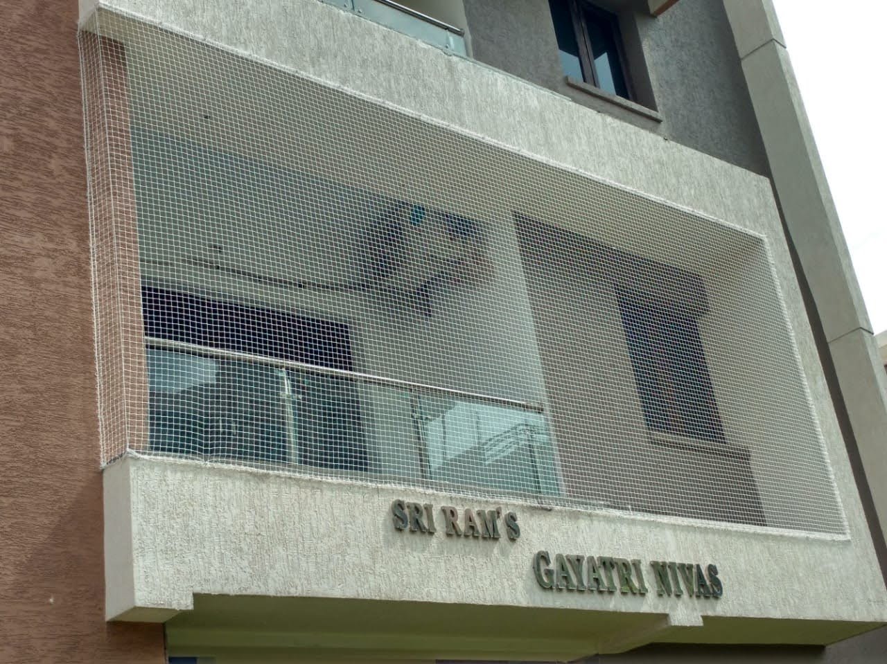 bird control service visakhapatnam