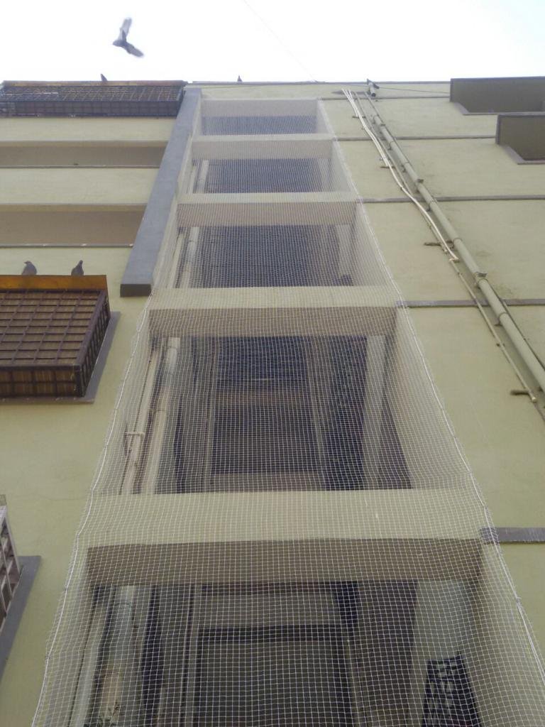 anti pigeon nets solution