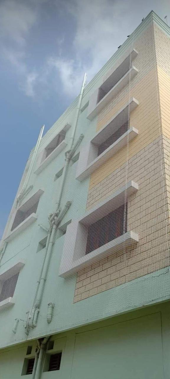 building pigeon nets installation