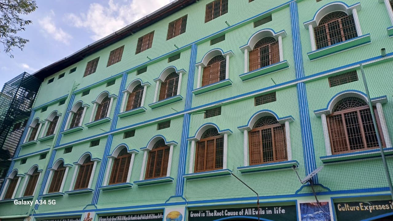 Anti bird net installation service in Bodhan